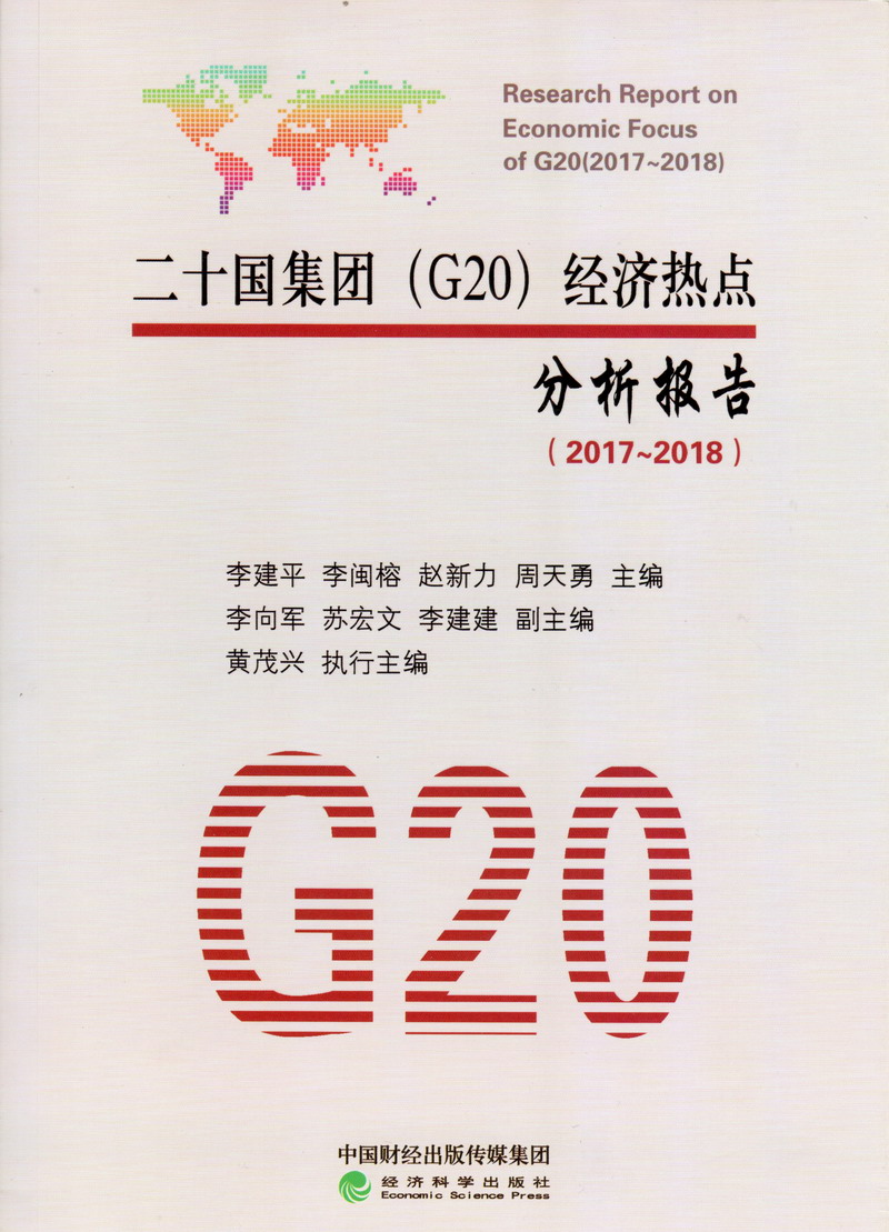 啊啊啊的网站二十国集团（G20）经济热点分析报告（2017-2018）